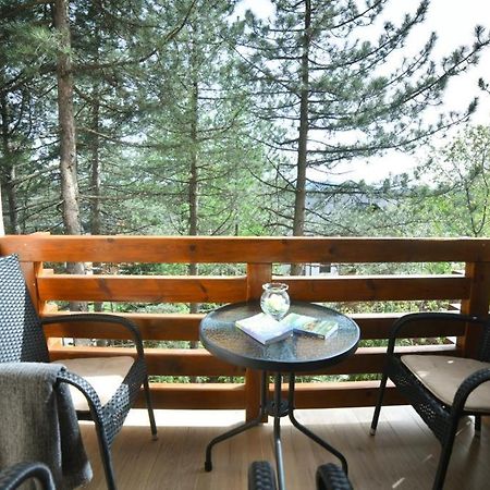 Apartman Silver Lux Zlatibor Exterior photo